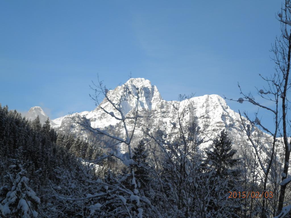 Almurlaub Buchebnerreith, Ferienwohnungen ฮินเทอร์ชโตเดอร์ ภายนอก รูปภาพ